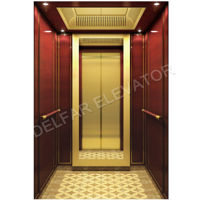 Small Load Capacity Elegant Home Elevator